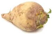 Rootveg_rutabaga